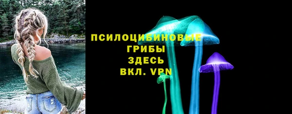 apvp Магас