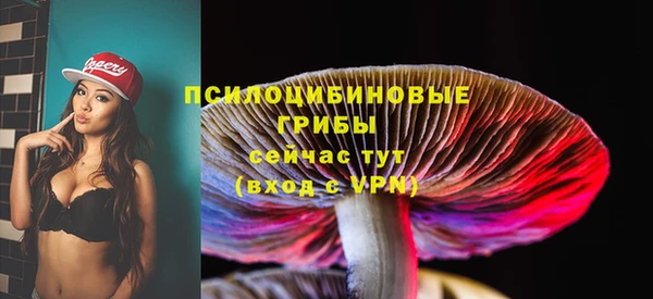 прущая мука Михайлов