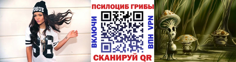 даркнет телеграм  Балей  Галлюциногенные грибы Psilocybine cubensis 